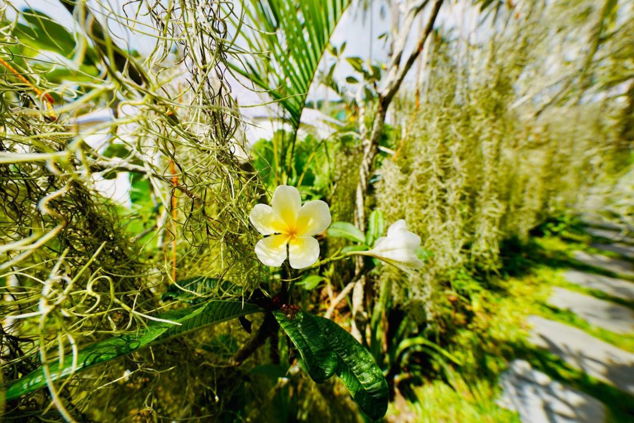 Nacpan Beach Glamping Managed By H Hospitality Group El Nido Ngoại thất bức ảnh